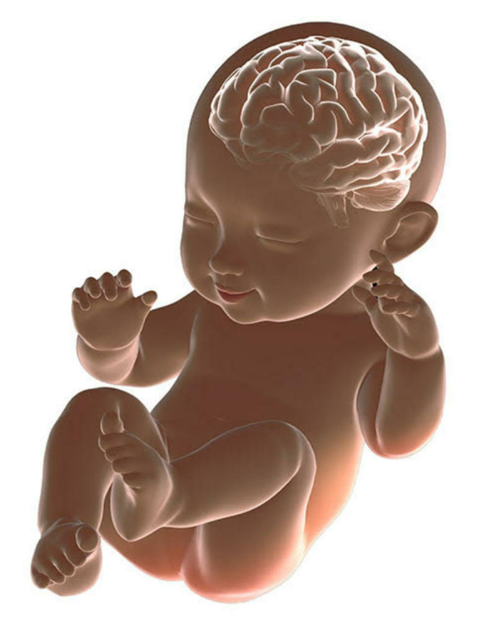 Domestic Violence And Baby Brain Development: What You Need To Know